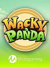Wacky Panda